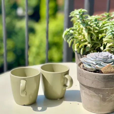 Zina - - 10 Min From Centre And Airport Bergame